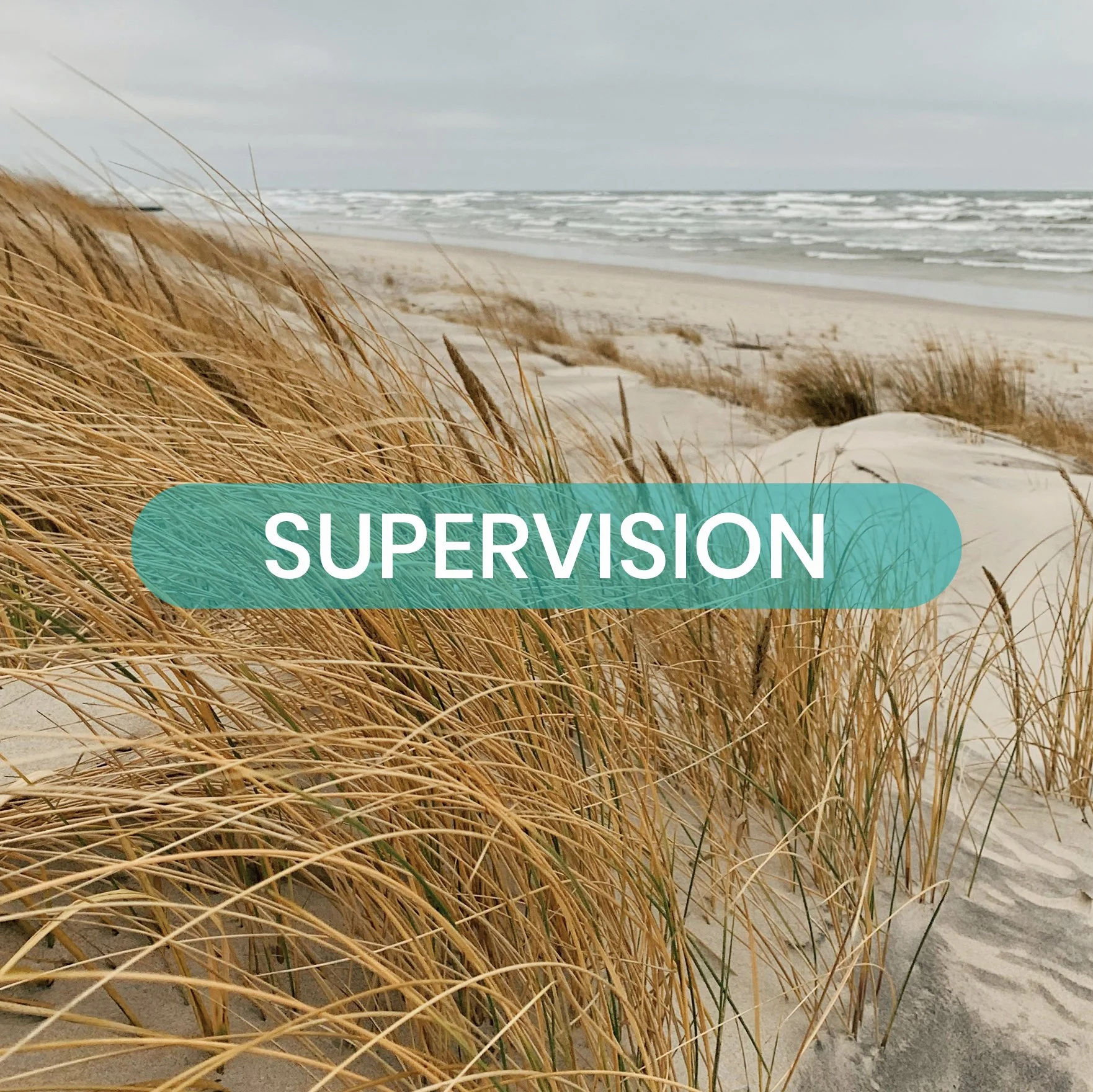 Supervision
