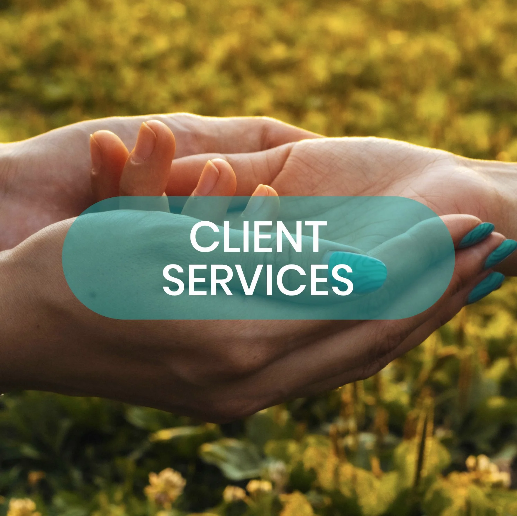 Client Services