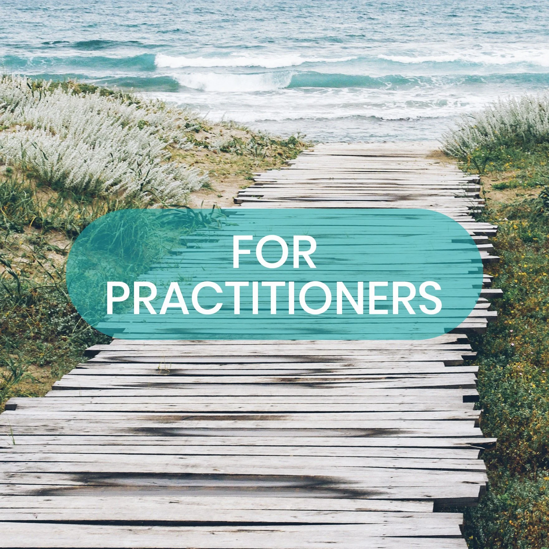 For Practitioners