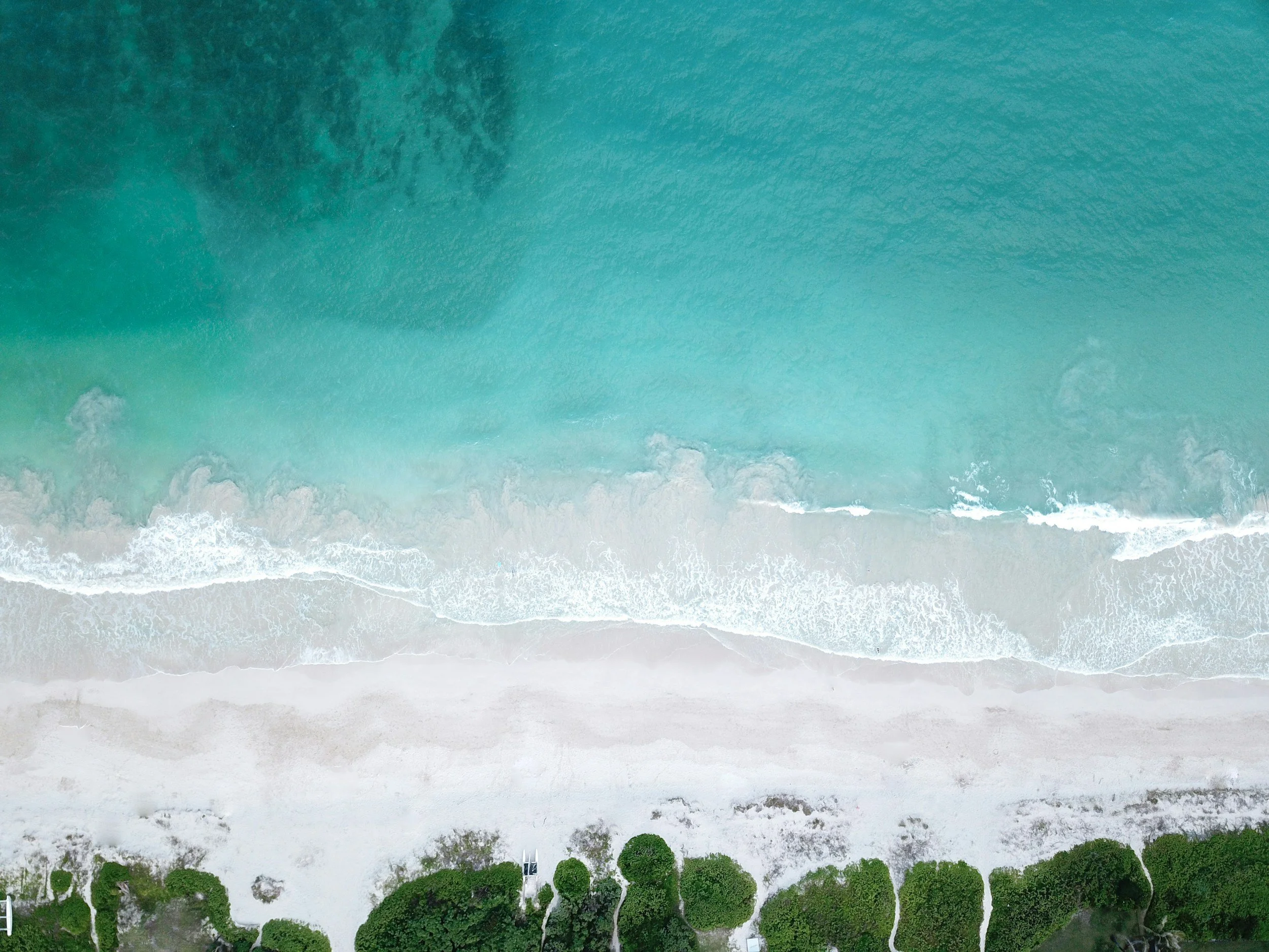 unsplash-image--CU4mKTWi0o.jpg