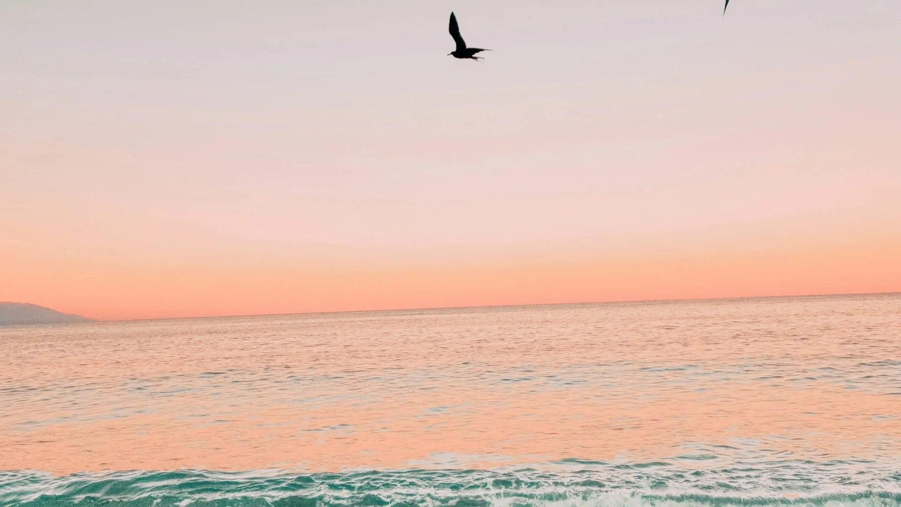 unsplash-image-W2CrIFEquUQ.jpg