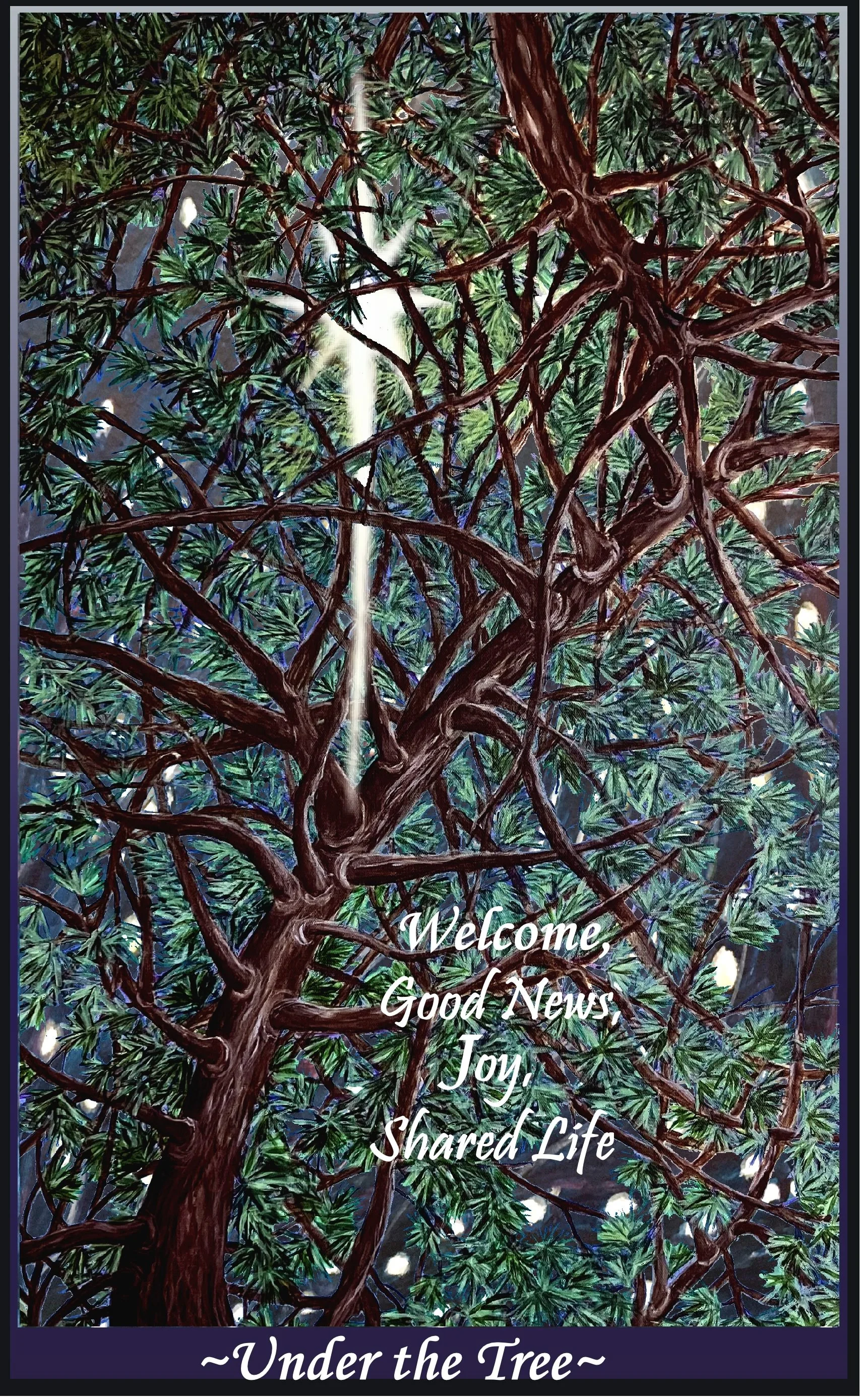 It’s Advent at Fauntleroy Church! 