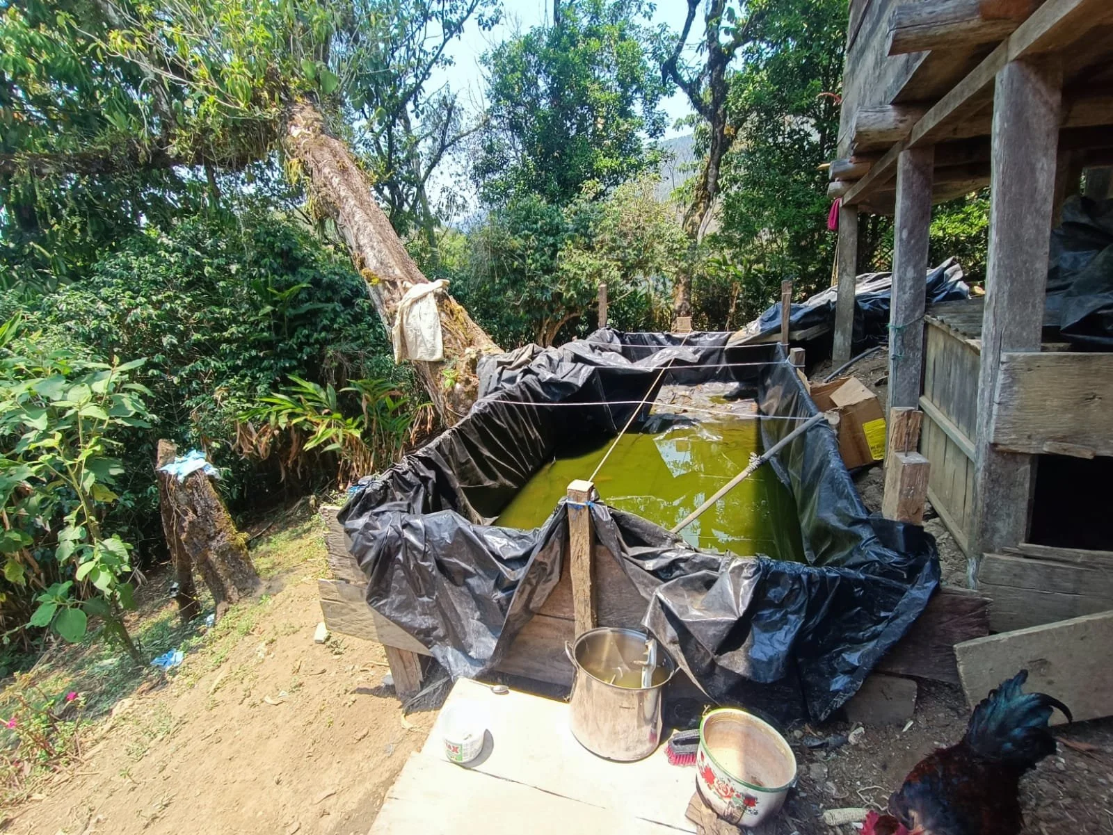 BOX SYSTEM WATER CAPTURE (1) - Greg Dirks.jpg