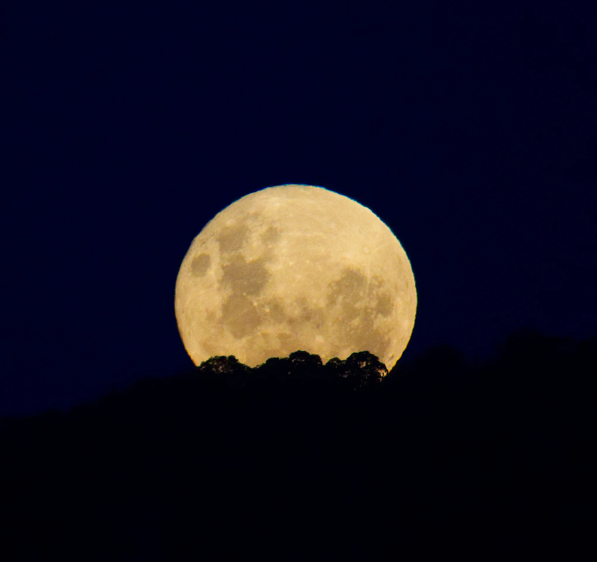 Supermoon 2 2.5mb.jpg