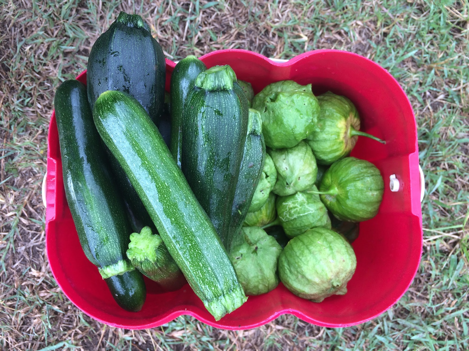 zucc and tomatillos.jpg