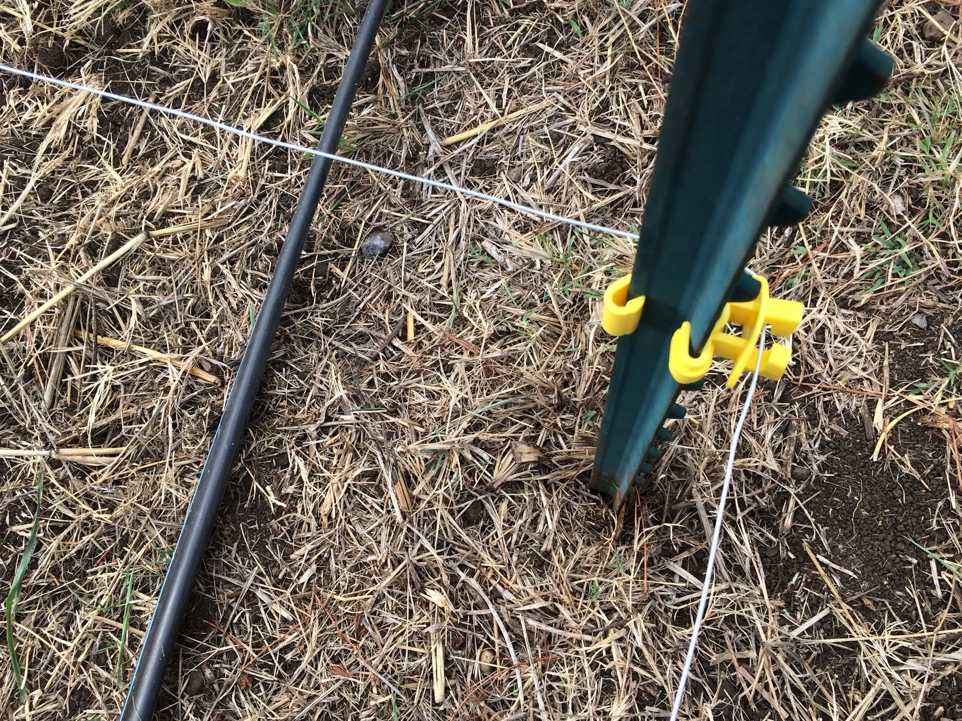 fence2.jpg