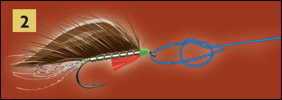 loop2.jpg