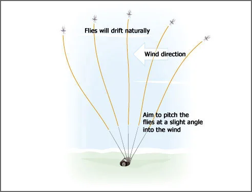 Diag-2.jpg