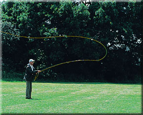 Untitled-2.jpg