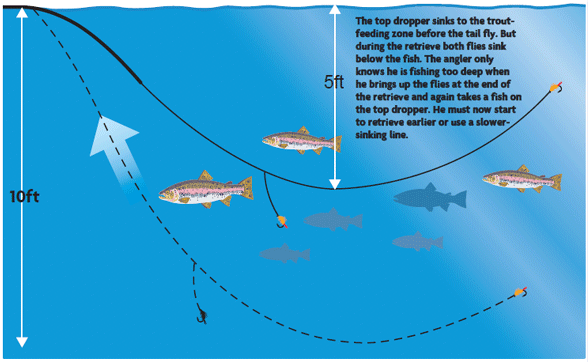 diagram.gif