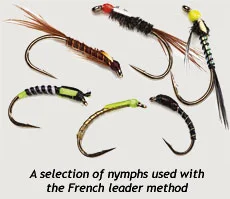Bainbridge-flies.jpg