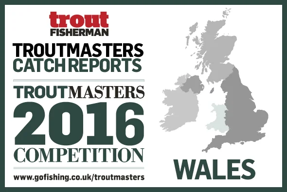 TM%20map%20website%20Wales.jpg