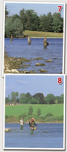78.jpg