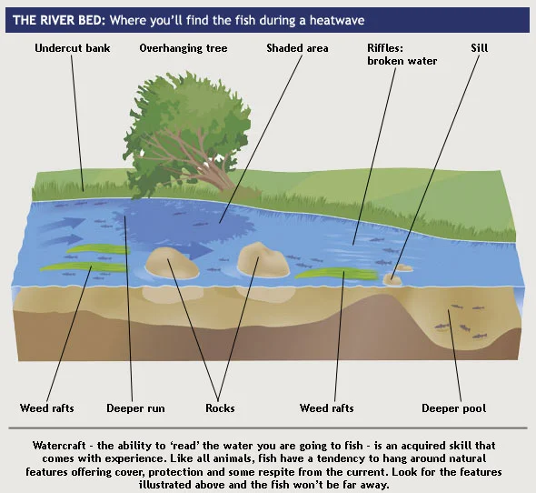 diagram2.jpg