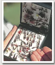 flies1.jpg