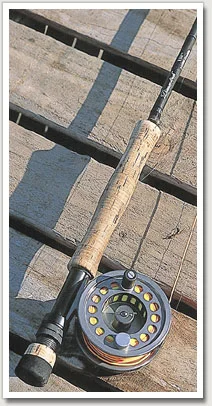 rod.jpg