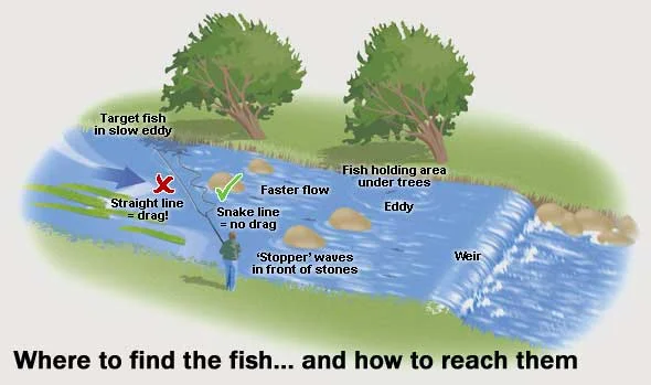 diagram1.jpg