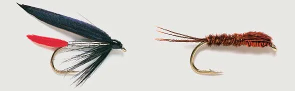 flies.jpg