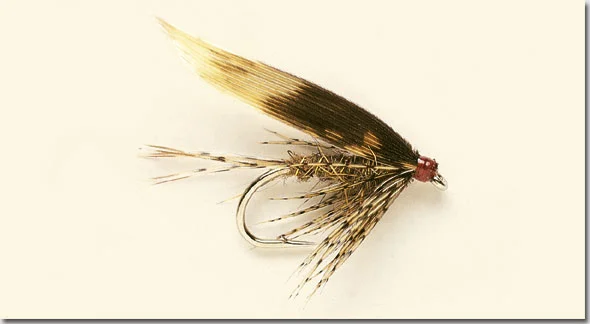 March-Brown-final.jpg