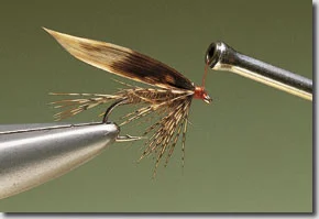 March-Brown-pic-12.jpg