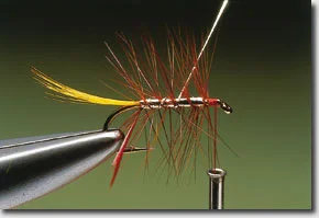 si8-new.jpg