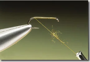 OLIVE-DUN-1.jpg