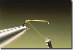 OLIVE-DUN-2.jpg