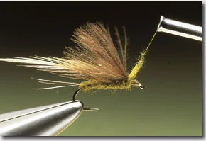 OLIVE-DUN-9.jpg