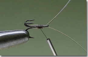 surface-lure-pic-1.jpg