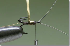 surface-lure-pic-2.jpg