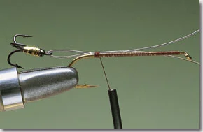 surface-lure-pic-5.jpg