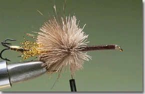 surface-lure-pic-9.jpg
