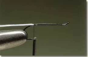 haslam-1.jpg