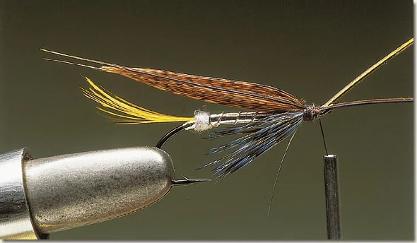 haslam-11.jpg