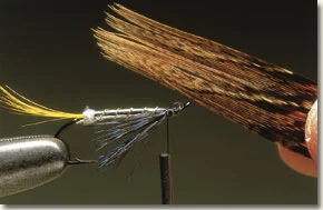 haslam-9.jpg