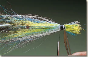 TS-ICE-Pic-8.jpg