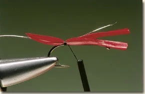 j-cock-2.jpg