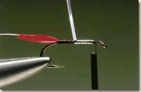j-cock-4.jpg