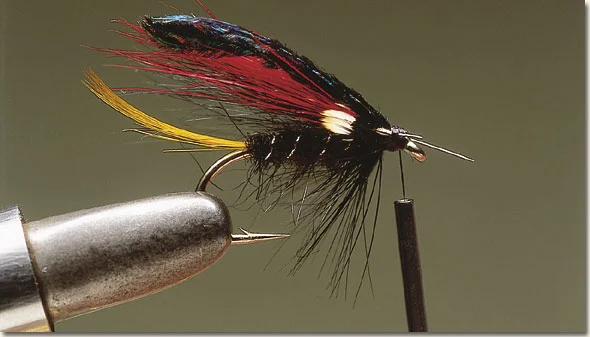 allrounder-11.jpg