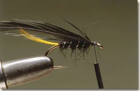allrounder-6.jpg