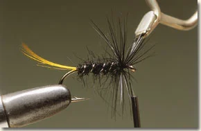 allrounder-7.jpg