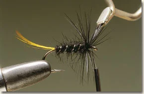 allrounder-8.jpg
