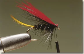 allrounder-9.jpg