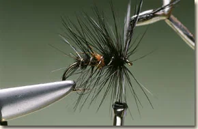 bibio-10-.jpg