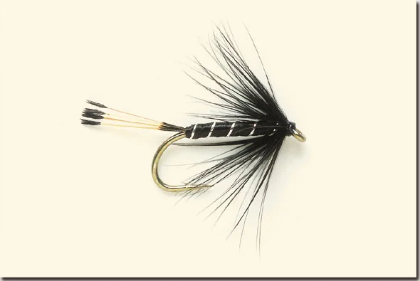 black-layered-yellow.jpg
