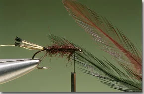 cb-6.jpg