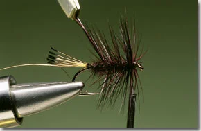 cb-7.jpg