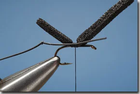 hawthorn_fly-3-1.jpg
