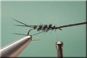 black_hopper-4-1.jpg