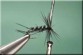 black_hopper-7-1.jpg